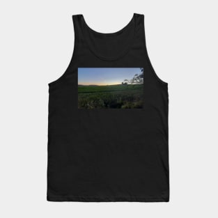 Sunset over the field Tank Top
